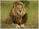 Absolute Nature Safaris 1630 