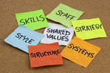 7S model for organizational culture, analysis and development (skills, staff, strategy, systems, structure, style, shared values) - colorful reminder notes on cork bulletin board, Internet Marketing NI By Ascension Marketing Ltd, Bangor