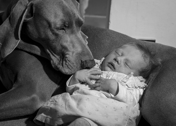  Profile Photos of Dual Focus Photography 29 Collard Road - Photo 5 of 12