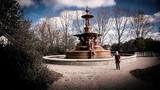 Dual Focus Photography, Willesborough