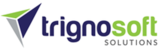 Static Website Designing Company India | Trignosoft Solutions, Noida