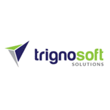 Static Website Designing Company India | Trignosoft Solutions, Noida