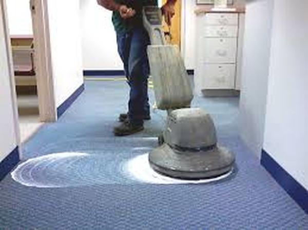  Profile Photos of Wolf Carpet Cleaning 355 Roberts Ave - Photo 5 of 9