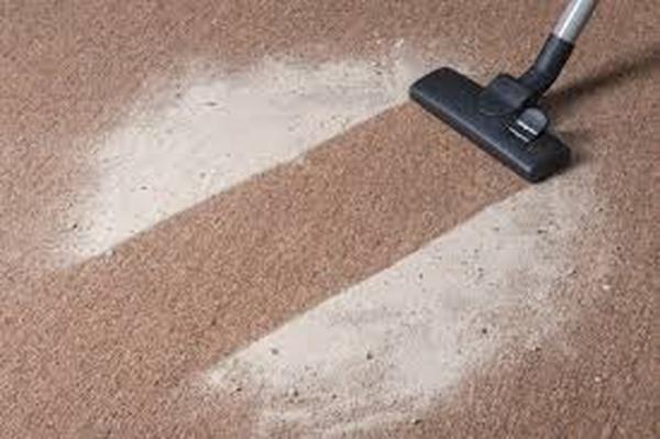  Profile Photos of Wolf Carpet Cleaning 355 Roberts Ave - Photo 6 of 9