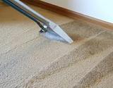  Wolf Carpet Cleaning 355 Roberts Ave 