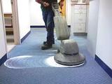  Wolf Carpet Cleaning 355 Roberts Ave 