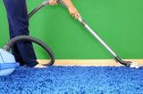  Wolf Carpet Cleaning 355 Roberts Ave 