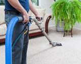  Wolf Carpet Cleaning 355 Roberts Ave 