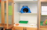 North Balwyn Veterinary Clinic - Vaccinations, Training & Surgeon, North Balwyn