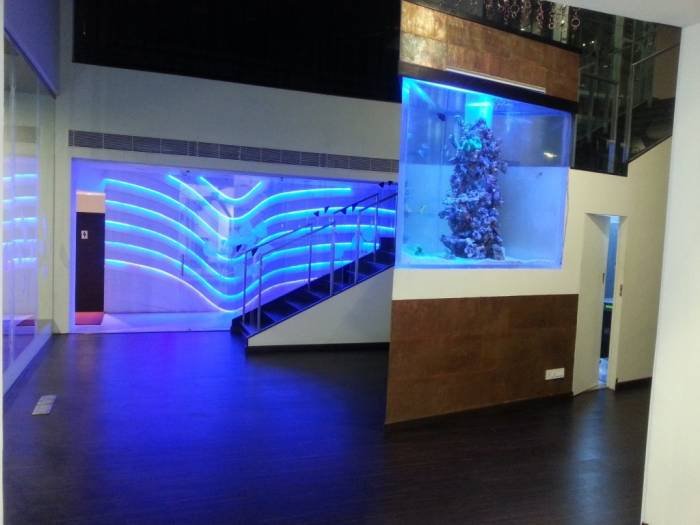  Profile Photos of Designer Aquarium India Pvt Ltd 12, North Madha Church Road, Near M.V.Diabetes Hospital, Royapuram,Chennai-13 - Photo 6 of 10