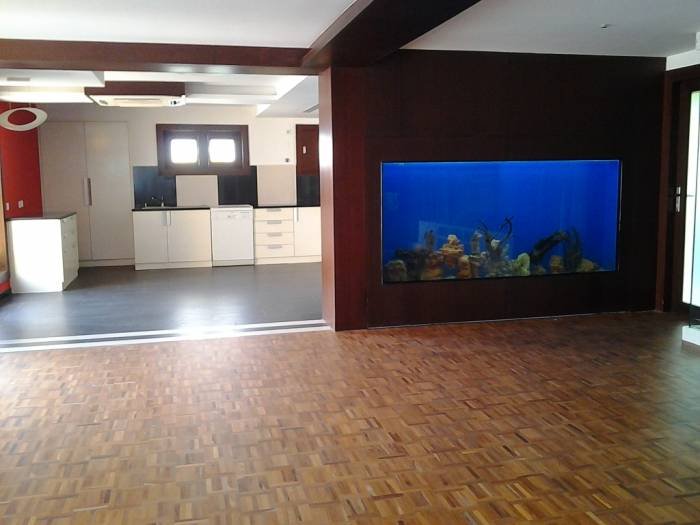 Profile Photos of Designer Aquarium India Pvt Ltd 12, North Madha Church Road, Near M.V.Diabetes Hospital, Royapuram,Chennai-13 - Photo 7 of 10