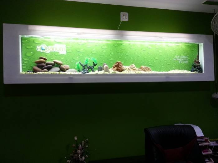  Profile Photos of Designer Aquarium India Pvt Ltd 12, North Madha Church Road, Near M.V.Diabetes Hospital, Royapuram,Chennai-13 - Photo 5 of 10