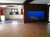 Designer Aquarium India Pvt Ltd 12, North Madha Church Road, Near M.V.Diabetes Hospital, Royapuram,Chennai-13 