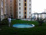 Designer Aquarium India Pvt Ltd, Chennai