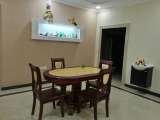 Designer Aquarium India Pvt Ltd, Chennai