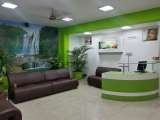 Designer Aquarium India Pvt Ltd, Chennai