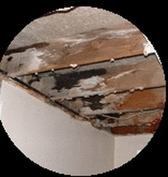  Profile Photos of Groombridge Building Preservation 3 Albert Rd - Photo 1 of 1
