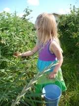  All Natural U-Pick Yakima 11901 Zier Rd 
