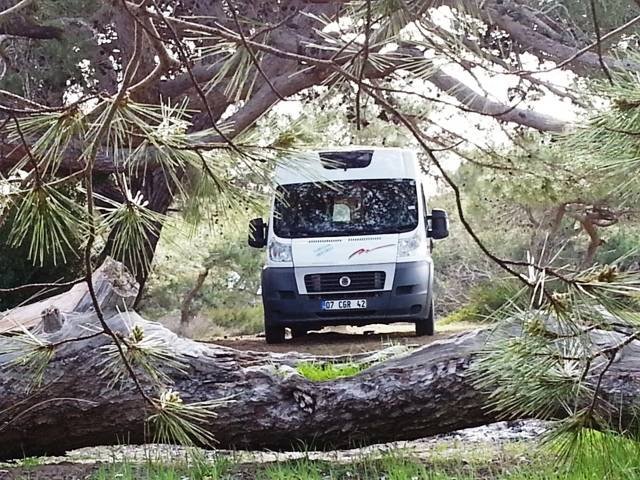  Profile Photos of LET'S GO CAMPER - Karavan Kiralama, KiralÄ±k Karavan, Antalya, Ä°stanbul 1472 Sok 4B/11 - Photo 9 of 11