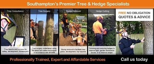  Profile Photos of DGS Trees Hotspur House Prospect Pl, Hythe - Photo 1 of 1