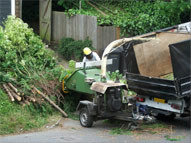  Profile Photos of Day Tree Services 18 Station Road - Photo 6 of 7