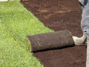  Profile Photos of Day Tree Services 18 Station Road - Photo 7 of 7