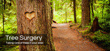  Day Tree Services 18 Station Road 