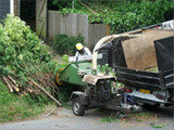Day Tree Services, Ramsey