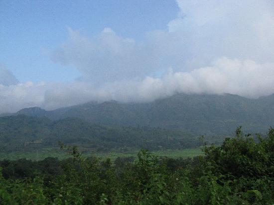  Pricelists of Vizag Araku Tourism Package #13-9-7, Dandu Bazar Road Jagadamba - Photo 2 of 10