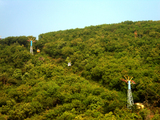                                , Visakha Araku Yarada Tourism Package, Visakhapatnam