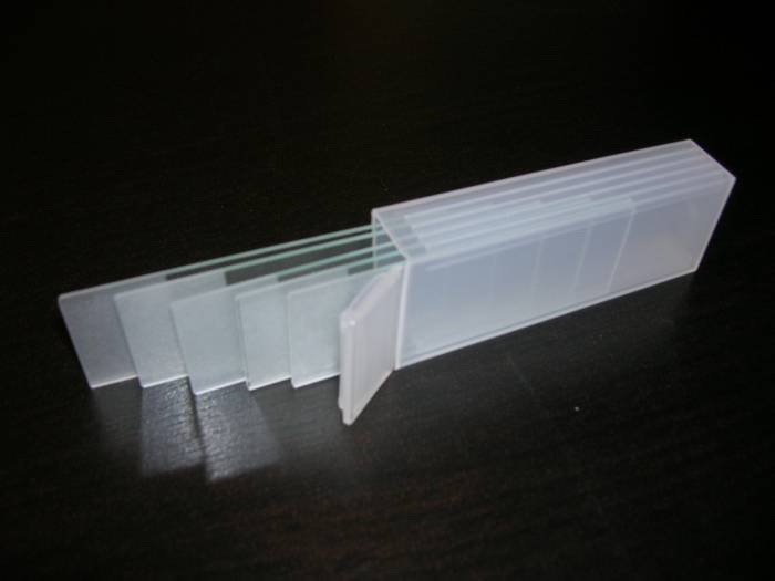  Profile Photos of GLOBAL STEP SRL Paduretu 7A - Photo 9 of 10