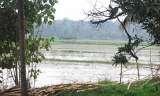 Sudarshanam EYE Foundation, Thiruvalla
