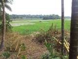 Sudarshanam EYE Foundation, Thiruvalla