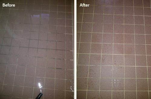  Profile Photos of All Fresh Cleaning 7 Little Paxton Court - Photo 4 of 5