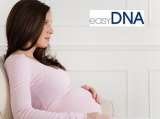 easyDNA UK, Whitstable
