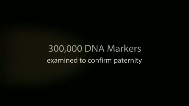 prenatal uk final.mp4