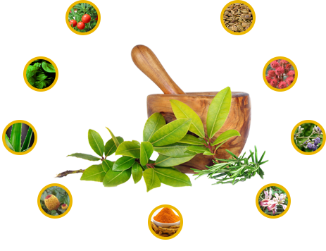  Profile Photos of Asthijivak - Knee Pain Relief Oil and Paste Tilak Nagar - Photo 1 of 1