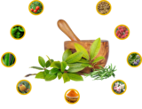 Asthijivak - Knee Pain Relief Oil and Paste, Delhi