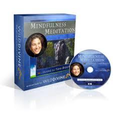  Mind-Body Training Technology of Peak Health Online 152 City Road - Photo 4 of 9