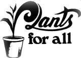  Plants For All 66 Dawson Road 