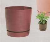 Plants For All, Guelph