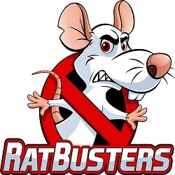 Rat Busters Profile Photos of Rat Busters 141 NW 20th St., Suite G122 - Photo 1 of 1