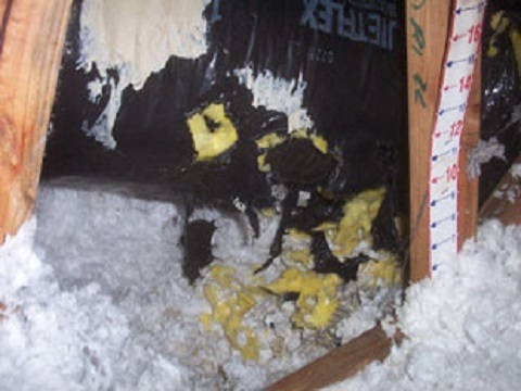  New Album of Rat Busters 141 NW 20th St., Suite G122 - Photo 4 of 7