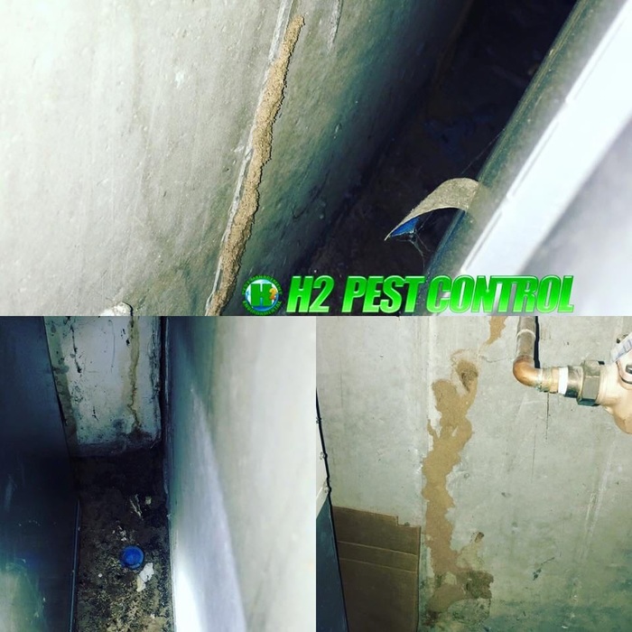  New Album of H2 Environmental Pest Management 32-07 Astoria Blvd. - Photo 3 of 3