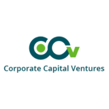 CCVIndia â€“ Corporate Capital Ventures Pvt. Ltd., New Delhi