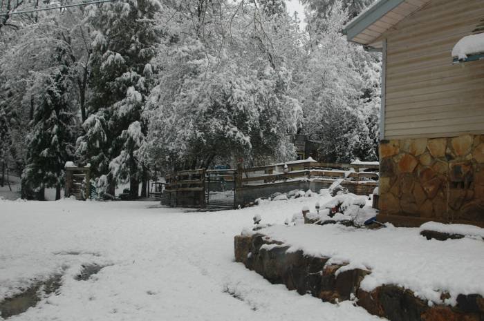 Willow Creek Ranch Farm Stay Cabin, Feb. 19, 2013 during a quick snowfall Profile Photos of Willow Creek Ranch 5125 Michel Rd - Photo 11 of 30 Willow Creek Ranch Farm Stay Cabin, Feb. 19, 2013 during a quick snowfall Profile Photos of Willow Creek Ranch 5125 Michel Rd - Photo 11 of 30