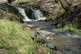 Waterfall in Willow Creek in May. Willow Creek Ranch, Mountain Ranch, CA Willow Creek Ranch 5125 Michel Rd 