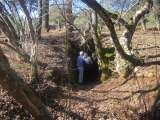 The Old Gold Mine. Willow Creek Ranch, Mountain Ranch CA Willow Creek Ranch 5125 Michel Rd 