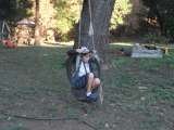 The Tire Swing. Willow Creek Ranch, Mountain Ranch, Ca Willow Creek Ranch 5125 Michel Rd 