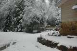 Willow Creek Ranch Farm Stay Cabin, Feb. 19, 2013 during a quick snowfall Willow Creek Ranch 5125 Michel Rd 
